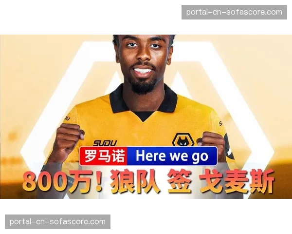 狼队800万欧元锁定马赛中场戈麦斯，先租后买达成协议